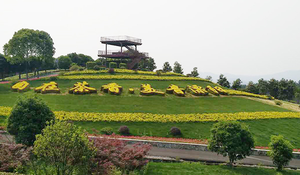 中國西南園林花木產(chǎn)業(yè)發(fā)展**暨供需對接會在成都舉辦