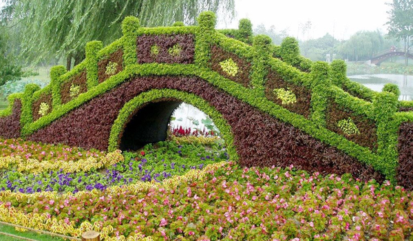 園藝栽培：夏季做好苗木的養(yǎng)護工作